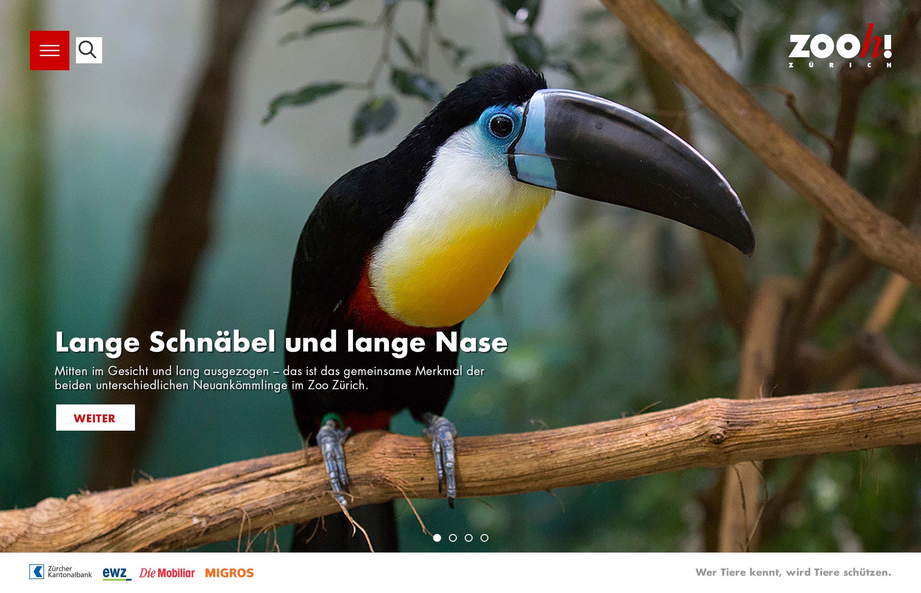 Zooh Zürich Desktop Frontpage